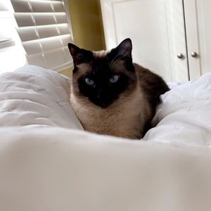 Meet your Posher, Sania